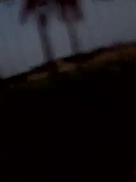 dolphiinnn Webbikameraesitys