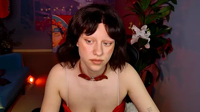 LidaDarknet 网络视讯表演