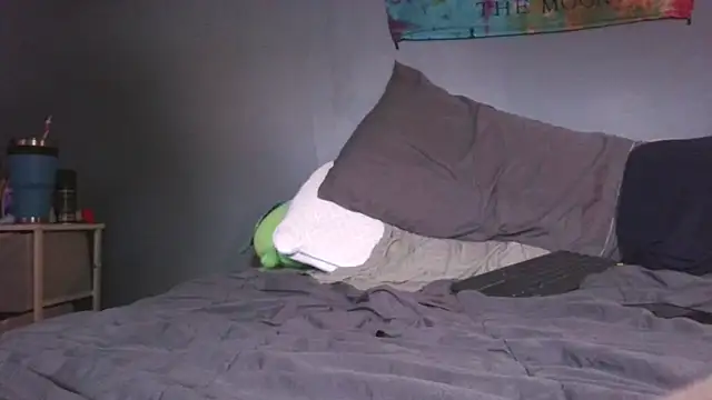 Show Webcam de hpluvsplata