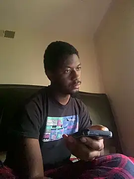 ThickDic28 Show in webcam