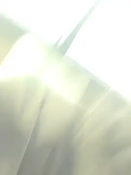 AnitaFly 现场XXX聊天