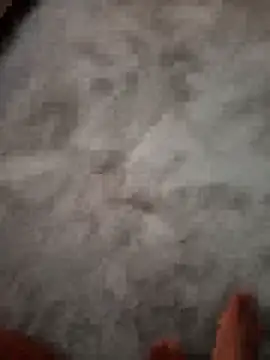 Desii_rockstarr Webcam show