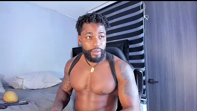 Show de Dancelwashington na webcam