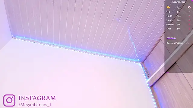 Chatroom XXX en direct de Meganbarko1