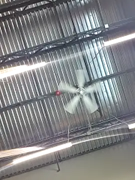 bear8t: вебкам-шоу