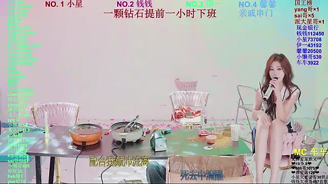 ZZ00033Sn Webbikameraesitys