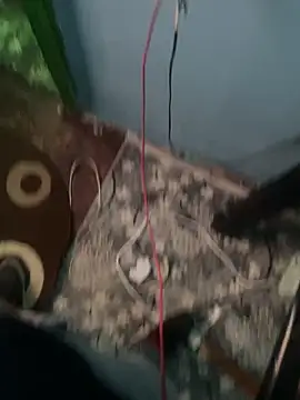 Daniel_cornel Webcam show