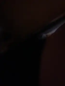 Show webcam de Ldnick69