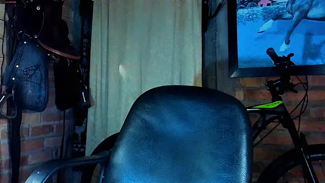 dominic_jonson webcam show