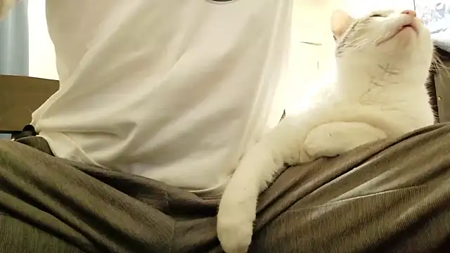 Ta3939 – Naživo XXX chat