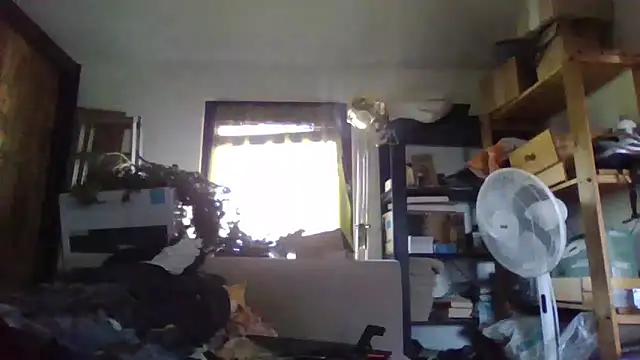 Vandrino Show Webcam