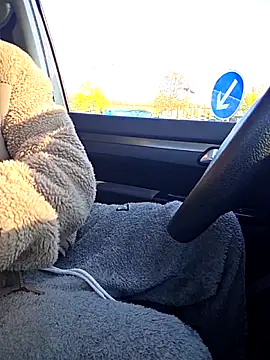 Zeefy 网络视讯表演