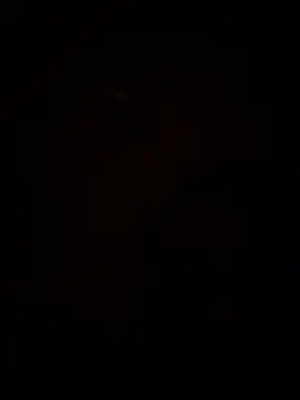 ThickDic28 Chat XXX in diretta