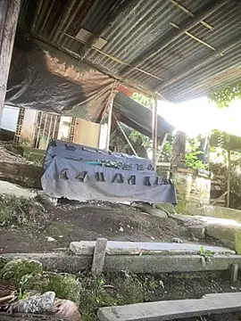 JE1999_28's Webcam Show