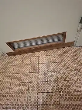 Show Webcam de Frossi94