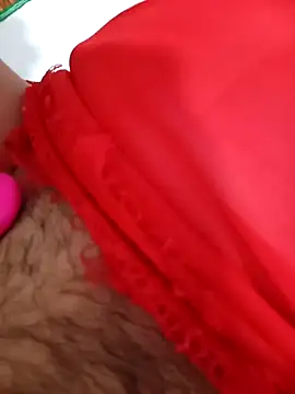 Minh32loven Webbikameraesitys