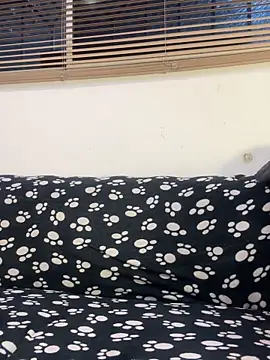 Show de cody_fox10 na webcam