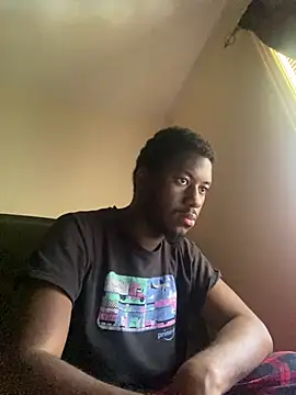 ThickDic28: διαδικτυακό σόου στην κάμερα