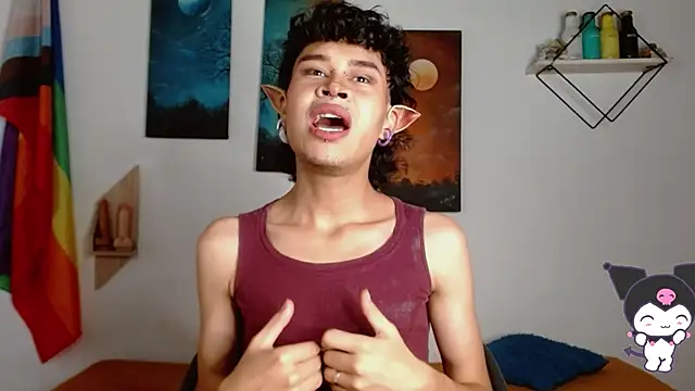 Show Webcam de nicolai_a