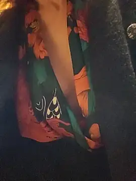 Exhibitionsplit's Webcam Show