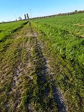 SilvyDiamond live XXX chat