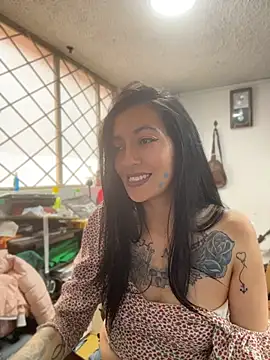 Show Webcam de SALOME_KORLAND