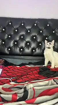 VenusDeMilo_55: онлайн-секс-чат