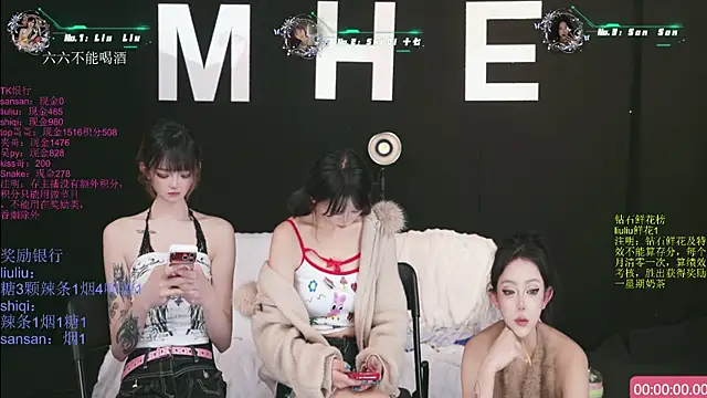 Show modela MHe-002 na web-kameri