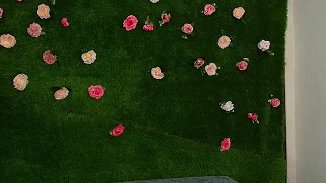 Huge_Titties_ 现场XXX聊天