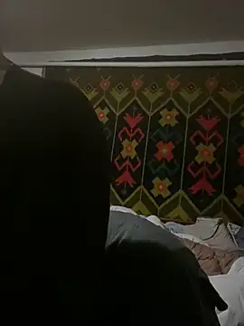 Froslのウェブカメラショー