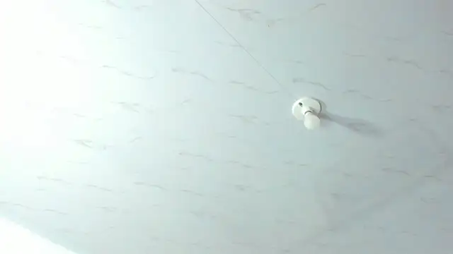 EvaxEmma 在線直播表演