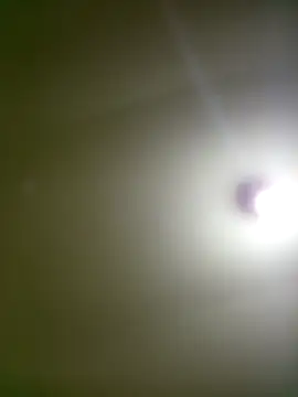 Pertunjukan Kamera Web Mariofls