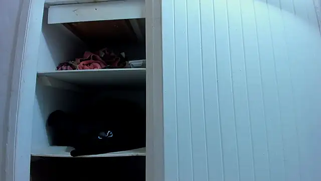 adams_bobby Webcam Show