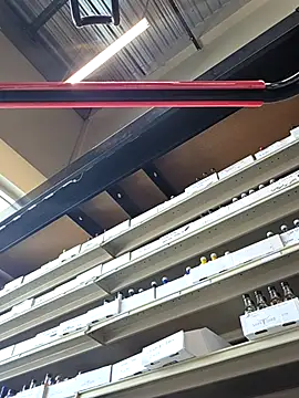 Show webcam de bear8t