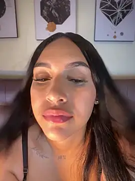 MaverickGray Show Webcam