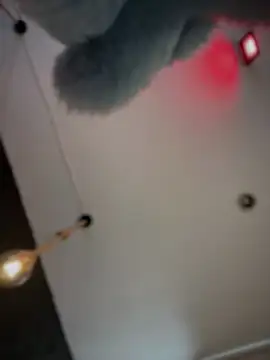 Valeria-escobar's Webcam Show