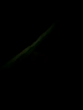 Show Webcam de Bengali_Boy75