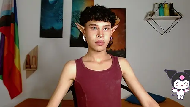 Show Webcam de nicolai_a