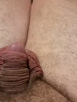 tunneltom – webcam-show