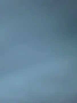 SaneService9 Webcam show