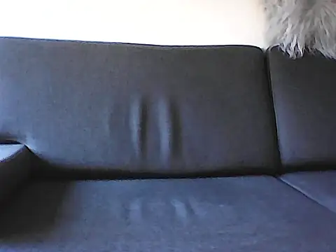 BroBatorsn Webbikameraesitys