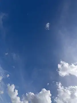 แชท XXX สดของ LeBimbo