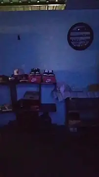 Show de elinnki na webcam