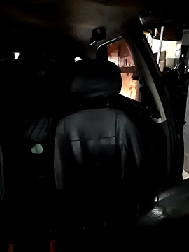 Show Webcam de hecwil8