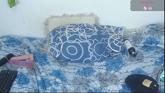 KarolDrako_n Live XXX chat