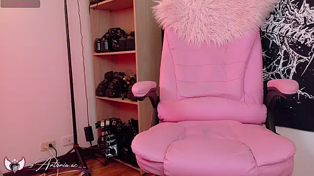 antoniaacxx Webcam show