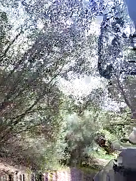 415cali925: διαδικτυακό σόου στην κάμερα