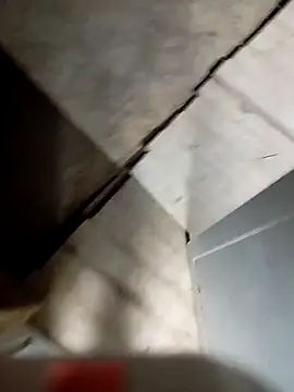 Show de webcam de hassan8111