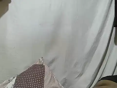 swt_wet_pusのウェブカメラショー