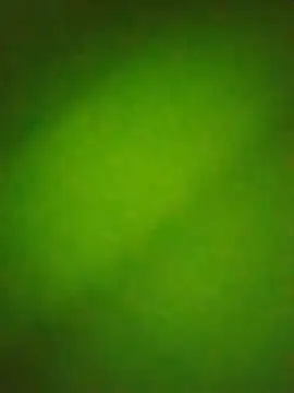 Marialae2735 Chat XXX live